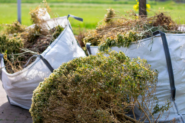 Best Same-Day Junk Removal  in Canfield, OH